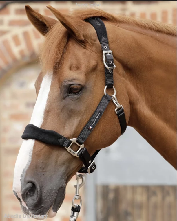horse collar